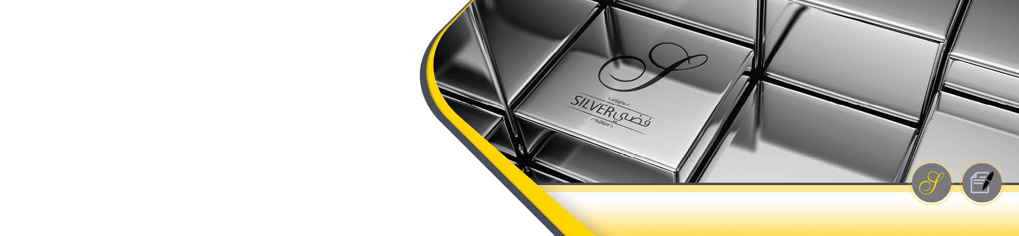Silver Program