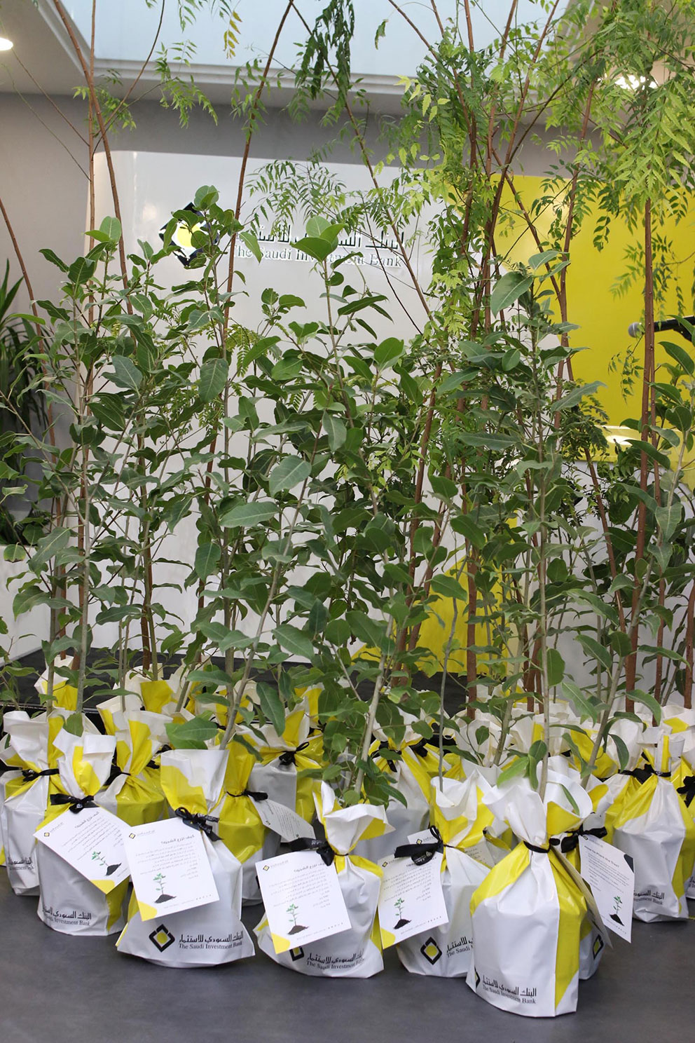 Initiative “Re-Tree the Earth” with Riyadh Municipality